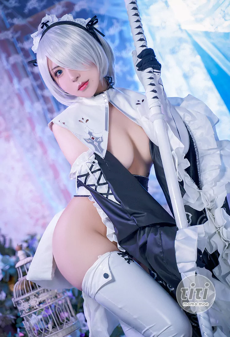 虎森森 – NO.04 2B女仆 [15P-78MB]