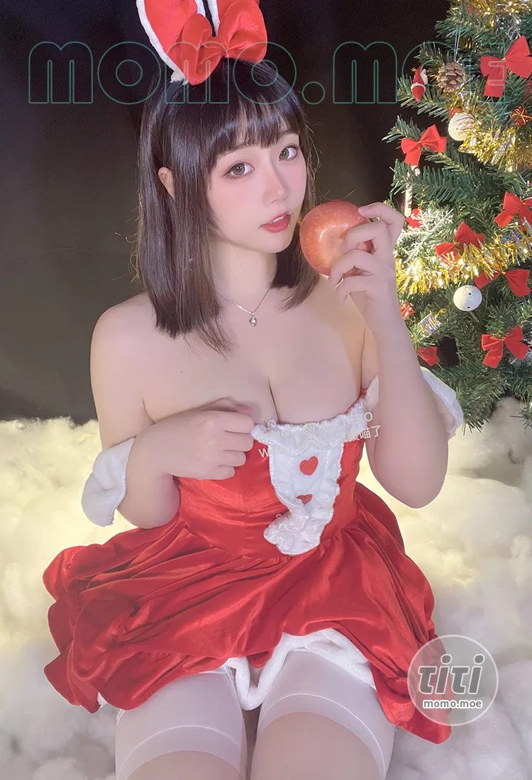 是一只废喵了 – NO.006 圣诞连衣裙 [27P+2V-340MB]