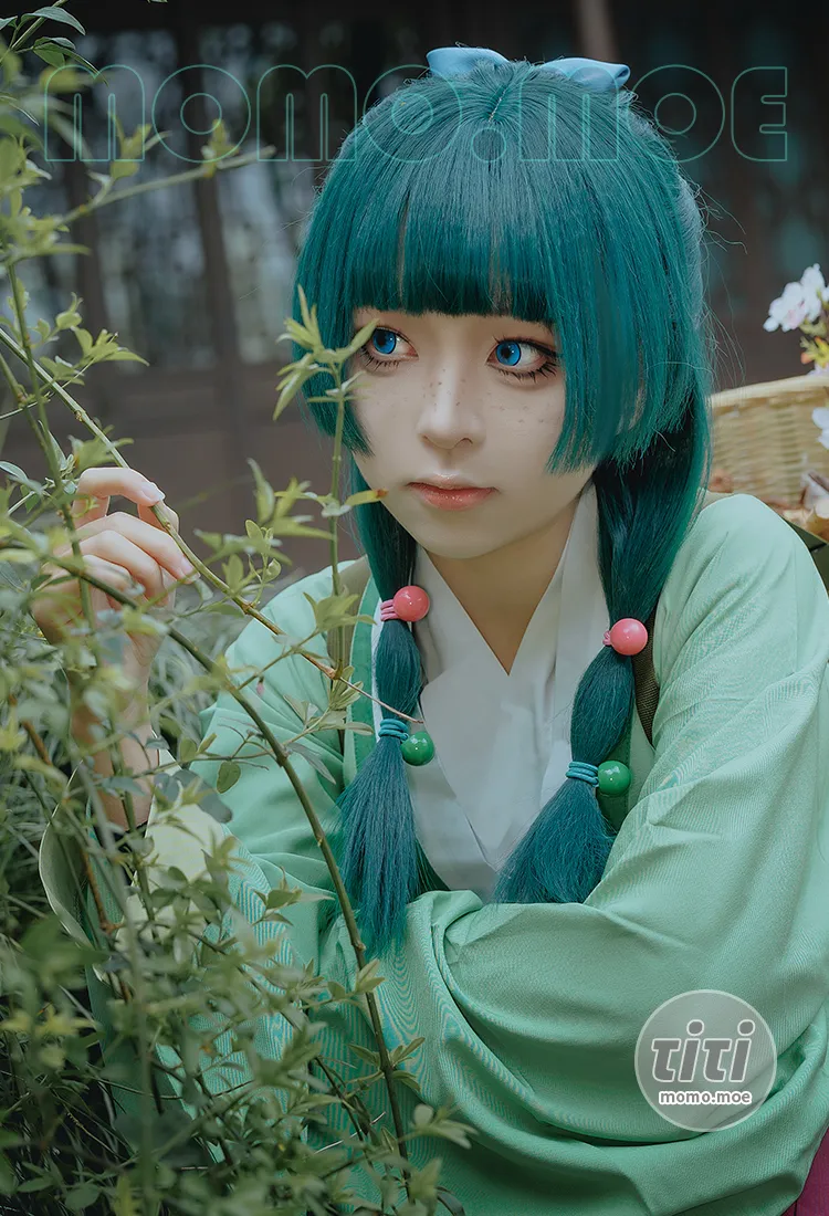 矢量鱼 – NO.007 Maomao [52P-327MB]