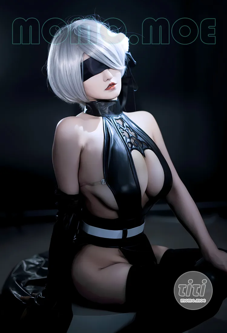 古阿扎 – NO.019 尼尔 寄叶2号B型 [53P-190M]