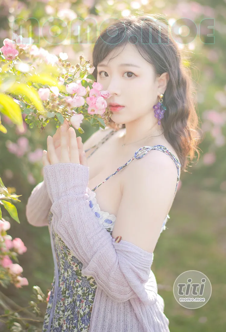 皮皮奶可可爱了啦 – NO.066 蔷薇花 [37P-787MB]