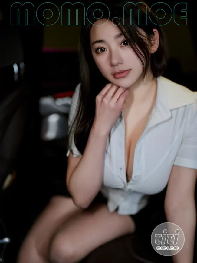 奶宝妹纸 – NO.037 随车小秘书 [27P-63.8MB]