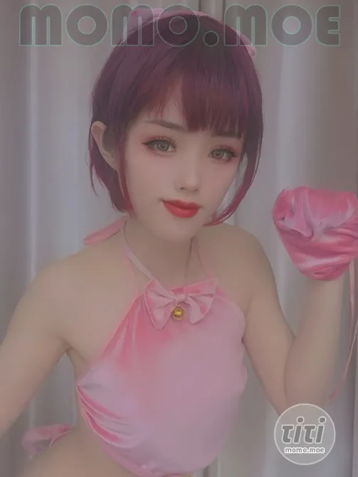 钛合金TiTi – NO.046 粉猪猪 [7P-12M]