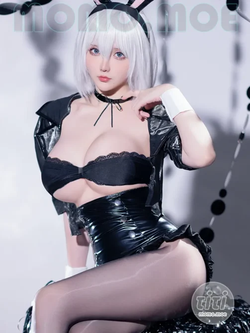 星之迟迟 – NO.240 25年03月计划C 尼尔机械纪元 2B兔女郎 [34P-180MB]