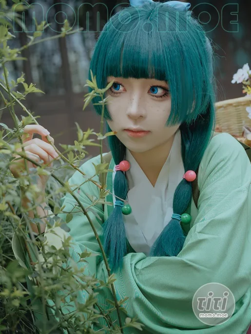 矢量鱼 – NO.007 Maomao [52P-327MB]