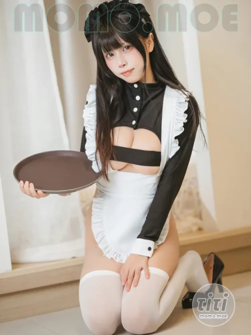 三無人型 – NO.008 高叉女仆 [42P-289MB]