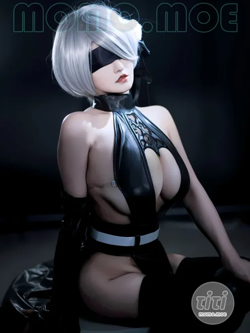 古阿扎 – NO.019 尼尔 寄叶2号B型 [53P-190M]