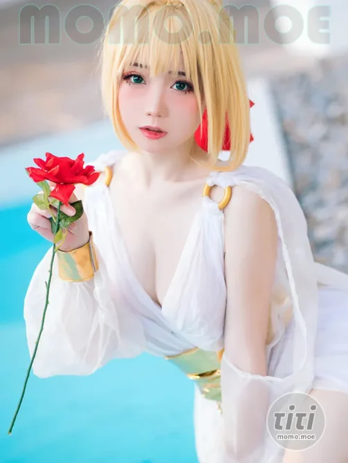 焖焖碳 – NO.045 FGO 尼禄 礼服 [27P-270M]