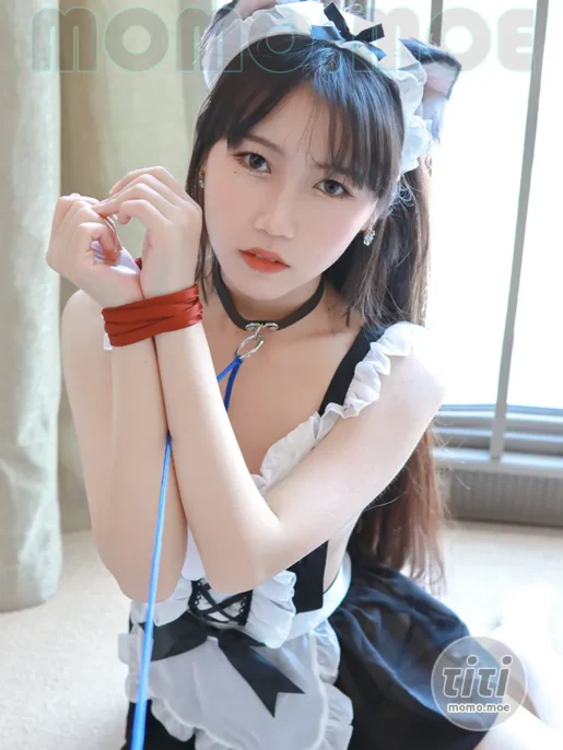 不呆猫 – NO.069 小女仆 [26P-230M]