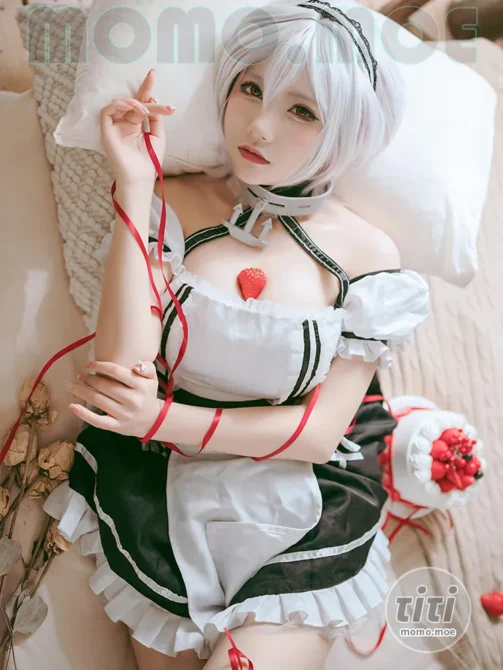 是一只熊仔吗 – NO.041 碧蓝航线 天狼星 [26P-327M]